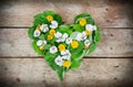 Dandelions and quince flowers made love heart on wooden table Royalty Free Stock Photo