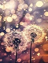 Dandelions with seeds dispersing into sparkling lights., Generated AI