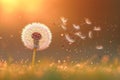 Dandelions seeds dispersing in the wind at sunset. Generative AI Royalty Free Stock Photo