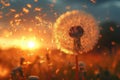 Dandelions seeds dispersing in the wind at sunset. Generative AI Royalty Free Stock Photo