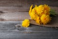 Dandelions on vintage wooden background, medicinal herbs, phytomedicine , traditional medicine, herbalism concept