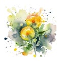 Dandelions. Watercolor beautiful dandelion flowers pattern. Dirty watercolor background with splash, spots, splatters. Hand drawn Royalty Free Stock Photo