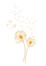 Dandelions and Wind - vector