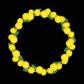 Dandelions wreath on a black background