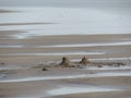 Dandi Beach - sand castle - Gujarat tourism - India beach holiday - Historical Royalty Free Stock Photo