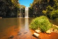 Dangar Falls in the Rainforest of Dorrigo National Park, Australia Royalty Free Stock Photo