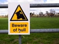 Danger - Beware of the Bull Royalty Free Stock Photo