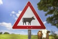 A danger cow sign countryside Royalty Free Stock Photo