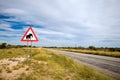 Danger Elephants Road Sign Royalty Free Stock Photo