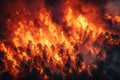 danger forest fire at night. Natural disaster due to drought. Aerial top view