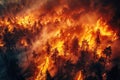 danger forest fire in pine forest at night. Aerial top view from above drone