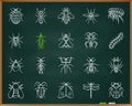 Danger Insect chalk draw line icons vector set