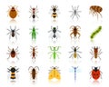 Danger Insect simple flat color icons vector set