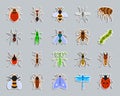 Danger Insect patch sticker icons vector set Royalty Free Stock Photo