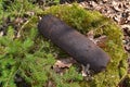 Concept of danger: old whizbang, artillery rusty whizzbang high explosive of the Second World War in thicket forest of Belarus Royalty Free Stock Photo