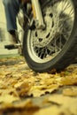 The danger of riding a motorcycle on wet leaves during autumn