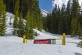 Danger Sign Blocking a Road in a Snowbank in a Mountain Forest