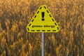 Danger sign gluten allergy in wheat field at sunset