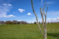 The Danger Tree was an assembly point for Newfoundland soldiers during the Battle of the Somme