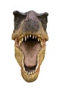 Portrait of a dinosaur called Tyrannosaurus rex on white background