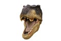 Portrait of a dinosaur called Tyrannosaurus rex on white background