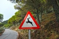 Danger traffic sign, wild animals