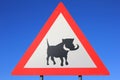 Danger - Warthog and Wildlife Crossing Road Sign - Road Hogs watch out for the pigs Royalty Free Stock Photo