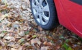 Danger by wet foliage in autumn on the road Royalty Free Stock Photo