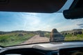 View out the front windshield of a vehicle with an up close buffalo at Custer State Park, South Dakota, USA