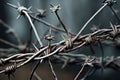 Dangerous Barbed wire field closeup. Generate Ai