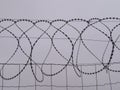 Dangerous barbed wire protection security reserve cut Royalty Free Stock Photo