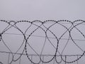 dangerous barbed wire protection security reserve cut