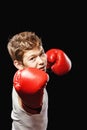 Dangerous boy boxer Royalty Free Stock Photo