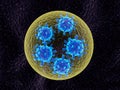 Coronaviruses isolated for neutralization - 3d rendering
