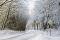 Dangerous curve on an icy country road through the snowy winter forest, safety driving concept, copy space Royalty Free Stock Photo