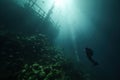 Diver in front of the sunken hull. Royalty Free Stock Photo