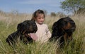 Dangerous dogs and child Royalty Free Stock Photo