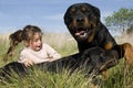 Dangerous dogs and child Royalty Free Stock Photo