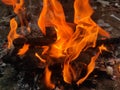 Dangerous Fire.Fire and flames. Black, heat.Fire.Fire Flames Flame Background. Royalty Free Stock Photo