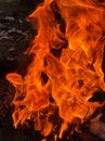 Dangerous Fire.Fire and flames. Black, heat.Fire.Fire Flames Flame Background. Royalty Free Stock Photo