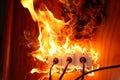 Dangerous Fire Hazard. Electrical Outlet Engulfed in Blazing Flames. High Risk Alert. Copy space Royalty Free Stock Photo