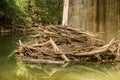 Flooding Debris Under a Creek Bridge