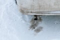 dangerous freezing of the exhaust pipe of the car in extreme cold during long parking and heating of the passenger compartment Royalty Free Stock Photo