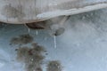 dangerous freezing of the exhaust pipe of the car in extreme cold during long parking and heating of the passenger compartment Royalty Free Stock Photo