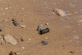 Dangerous glass fragments from broken bottles on the coast of the sea. Glass dangerous trash on the beach Royalty Free Stock Photo