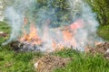 Dangerous grass fire with big flames and cloud of smoke in the city park near building in urban residential district selective foc Royalty Free Stock Photo