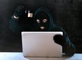 Dangerous hacker man with computer and lock hacking system in cyber crime concept