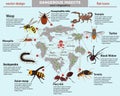 Dangerous insects and their habitat color infographics