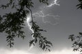 Dangerous lightning in black clouds sky in monsoon season