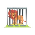 Dangerous Lion With Big Mane Standing Behind The Cage Bars In The Zoo